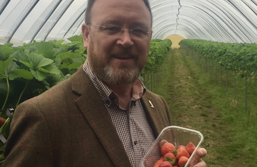 David Duguid MP visiting a soft fruit farm in Angus