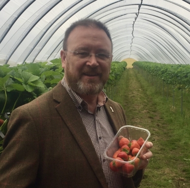 David Duguid MP visiting a soft fruit farm in Angus